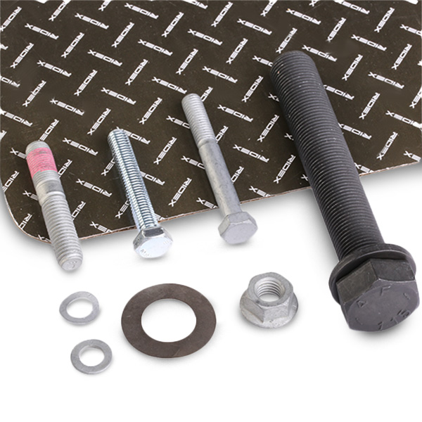RIDEX 3264B0061 Set suruburi si piulite