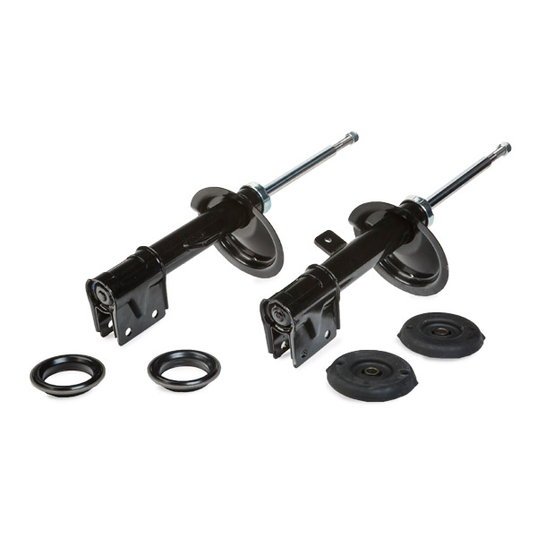 RIDEX 1185S0041 Монтажный комплект, амортизатор