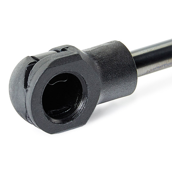 RIDEX 1207G0011 Amortizor gaz, pavilion