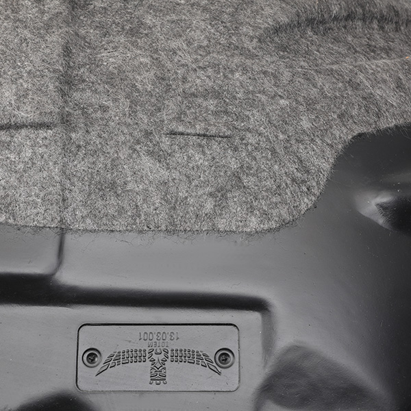 RIDEX 4256E0025 Acoperire motor