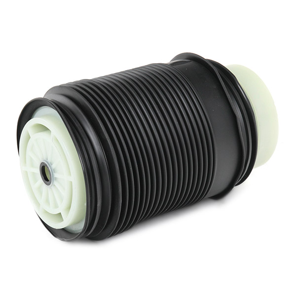 RIDEX 4119A0088 Кожух пневматической рессоры
