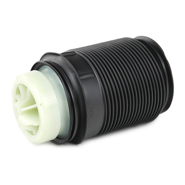 RIDEX 4119A0088 Кожух пневматической рессоры