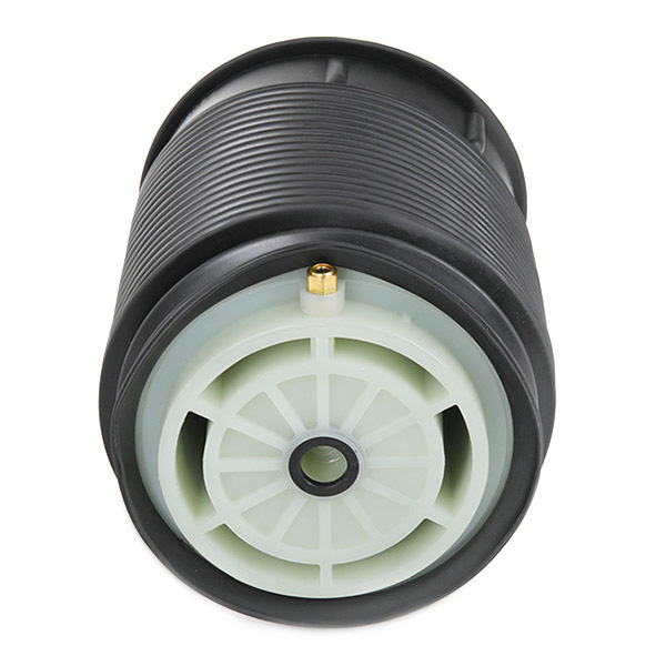 RIDEX 4119A0088 Кожух пневматической рессоры