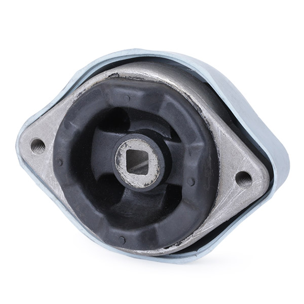 RIDEX 249M0171 Mounting,...