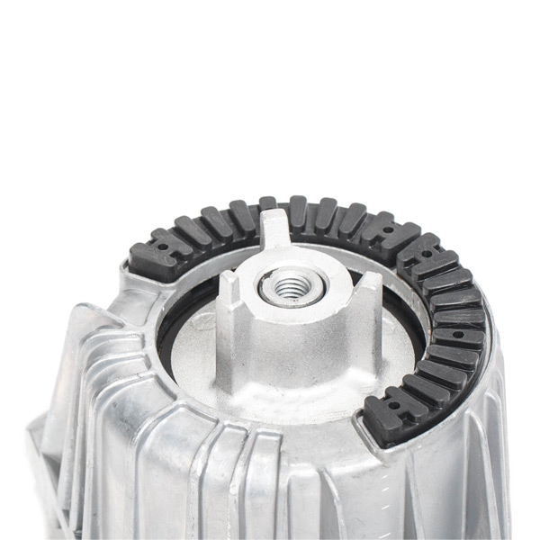 RIDEX 247E0796 Suport motor