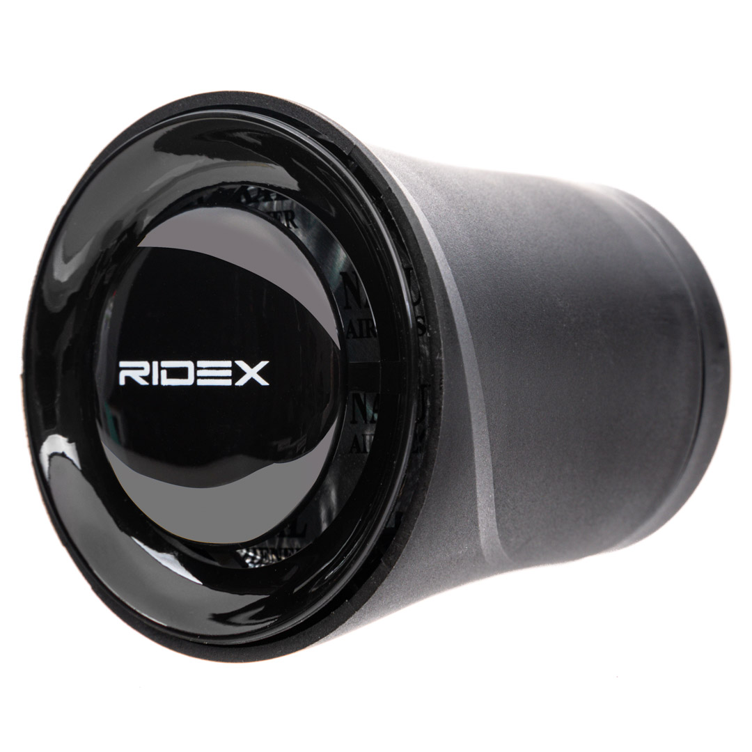 RIDEX 3443A0357 Air Freshener