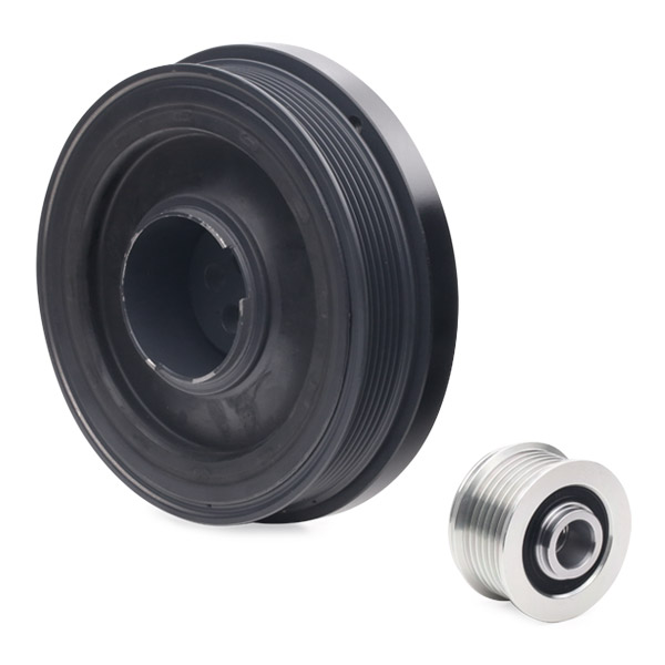 RIDEX 3213B0253 Set fulie, arbore cotit