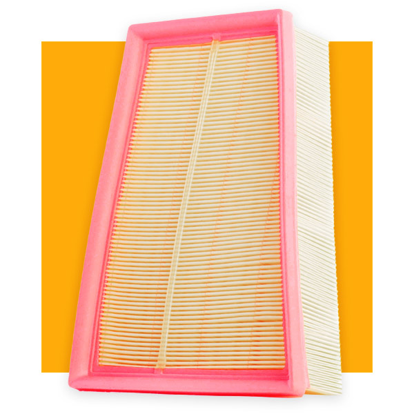 RIDEX 8A0033 Air Filter for...