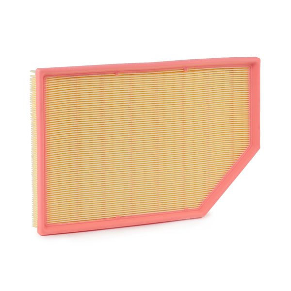 RIDEX 8A0170 Air Filter for...