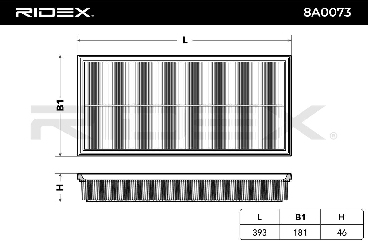 RIDEX 8A0073 Air Filter for...