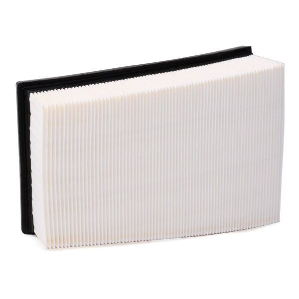 RIDEX 8A0058 Air Filter for...