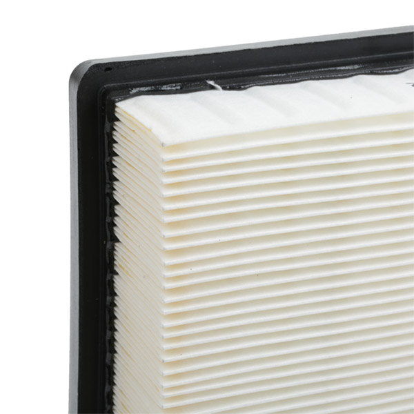 RIDEX 8A0174 Air Filter for...