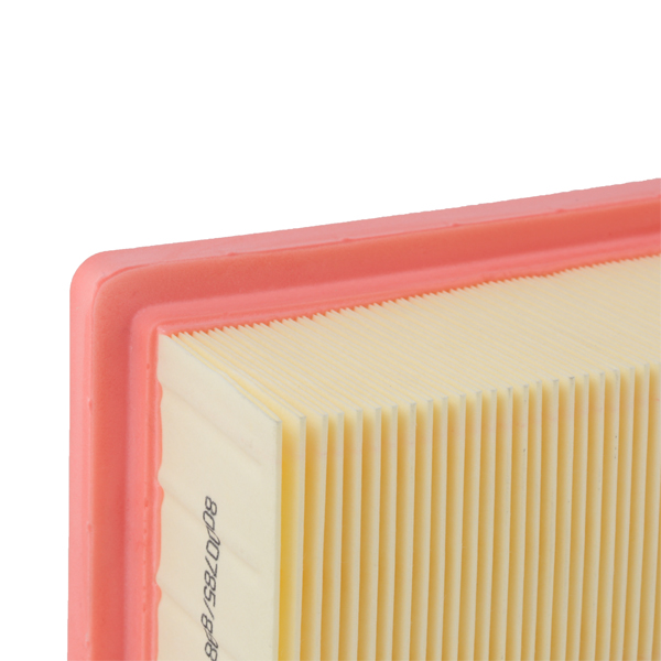 RIDEX 8A0173 Air Filter for...