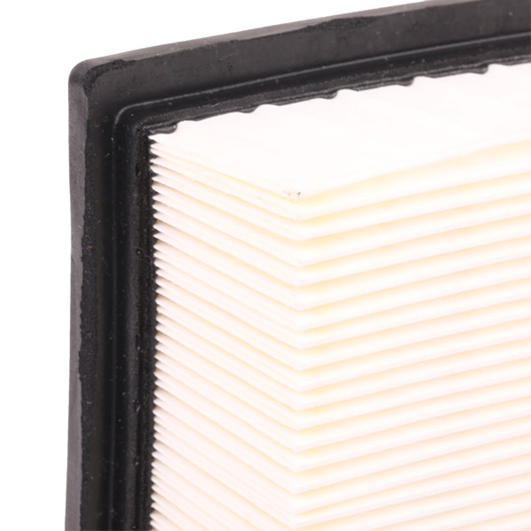 RIDEX 8A0059 Air Filter for...