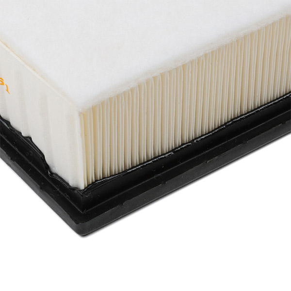 RIDEX 8A0254 Air Filter for...