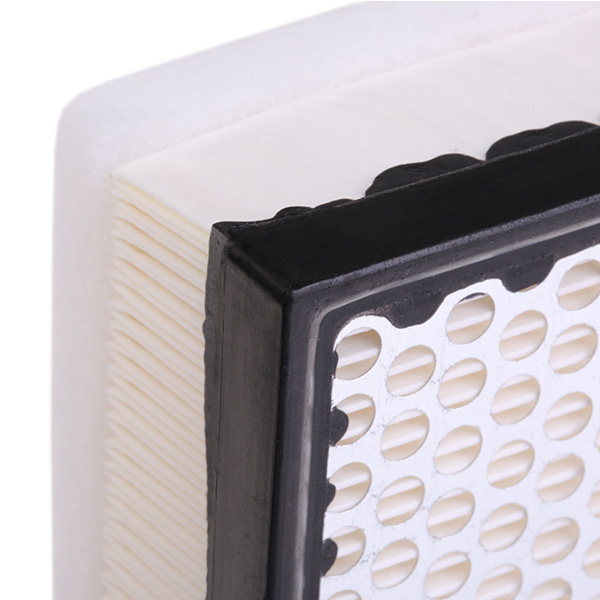 RIDEX 8A0093 Air Filter for...