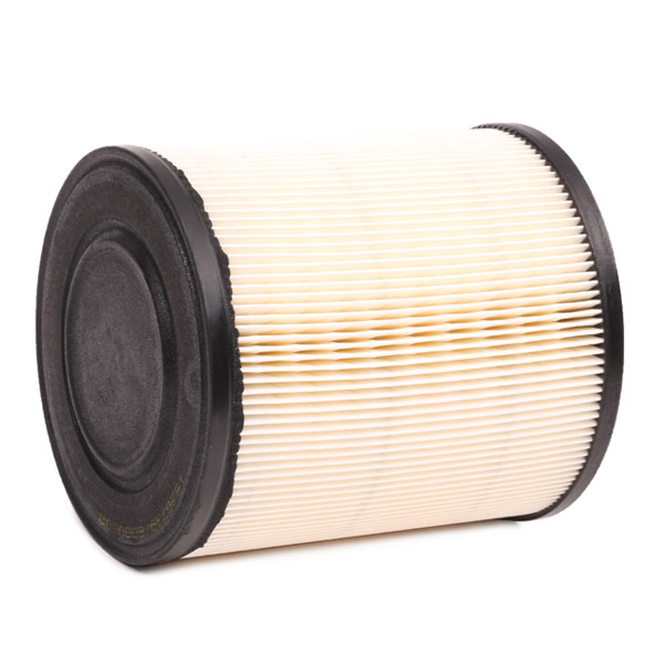 RIDEX 8A0146 Air Filter for...