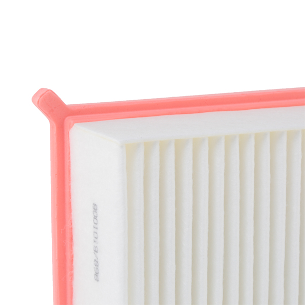 RIDEX 8A0258 Air Filter for...