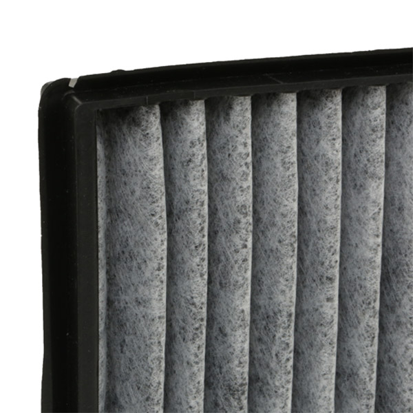 RIDEX 424I0011 Filter,...