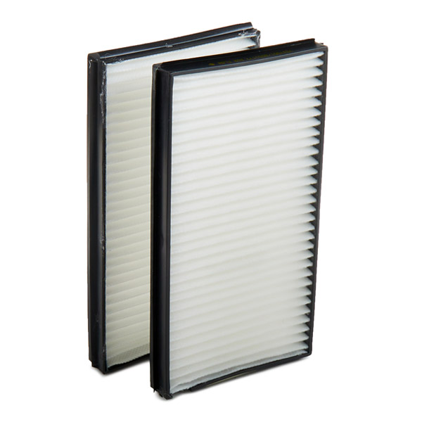 RIDEX 424I0086 Filter,...