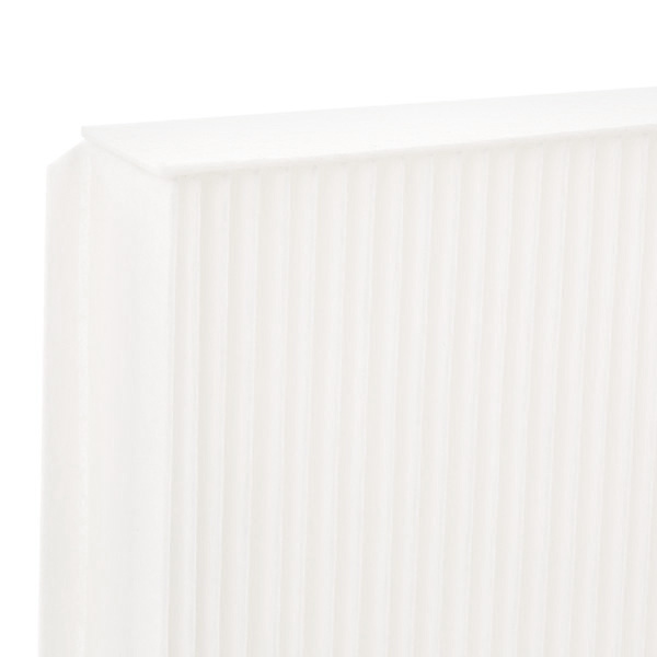 RIDEX 424I0055 Filter,...