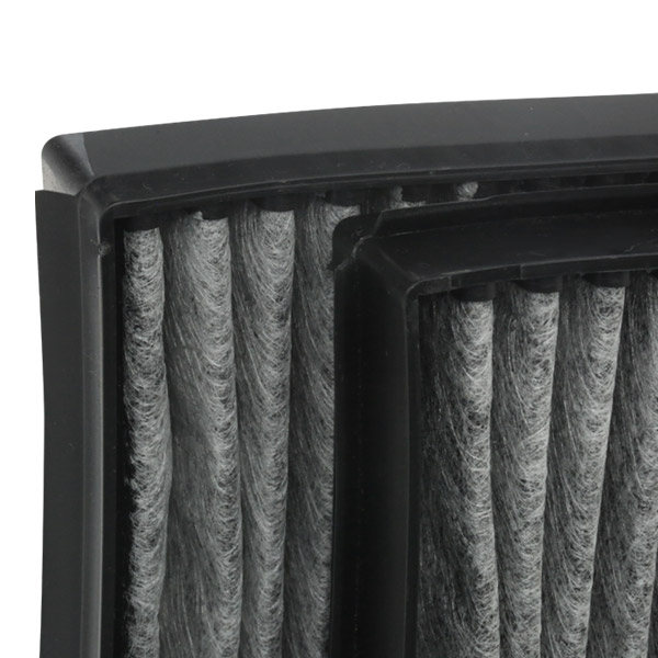 RIDEX 424I0010 Filter,...