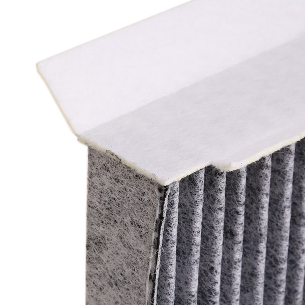 RIDEX 424I0020 Filter,...