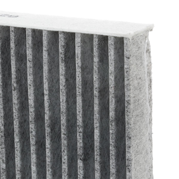 RIDEX 424I0004 Filtru, aer habitaclu