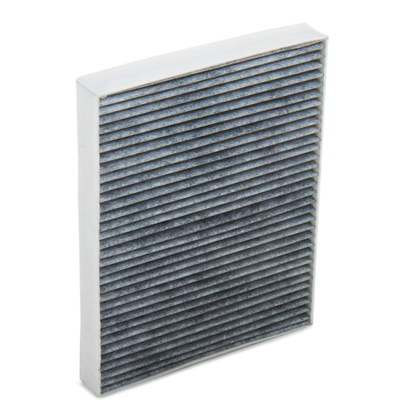 RIDEX 424I0017 Filter,...