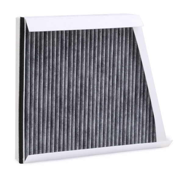RIDEX 424I0261 Filter,...