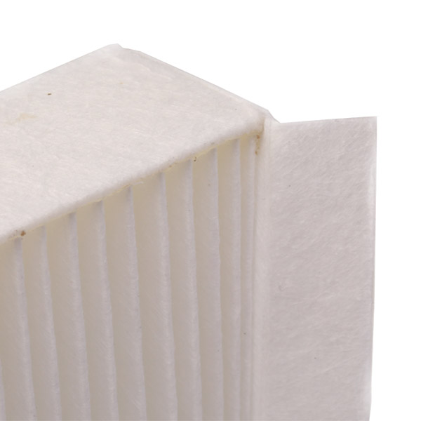 RIDEX 424I0235 Filter,...