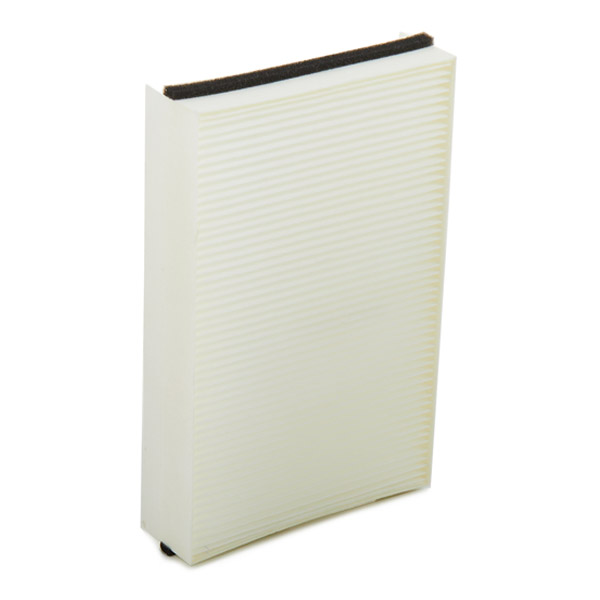 RIDEX 424I0075 Filter,...