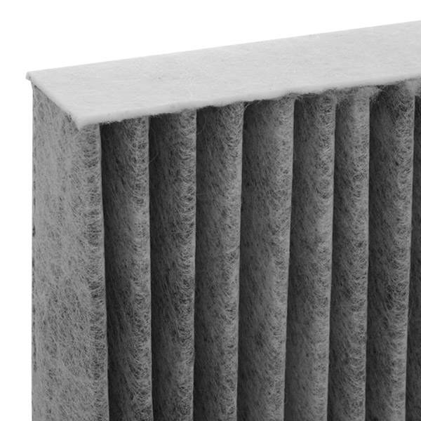 RIDEX 424I0135 Filter,...