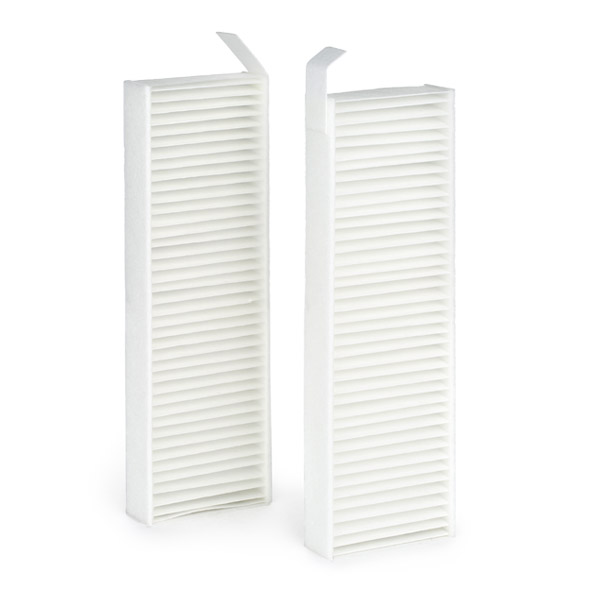 RIDEX 424I0268 Filter,...