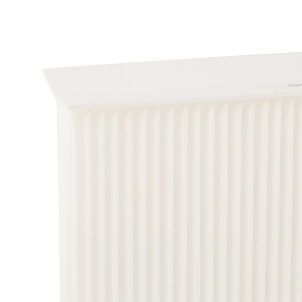 RIDEX 424I0262 Filter,...
