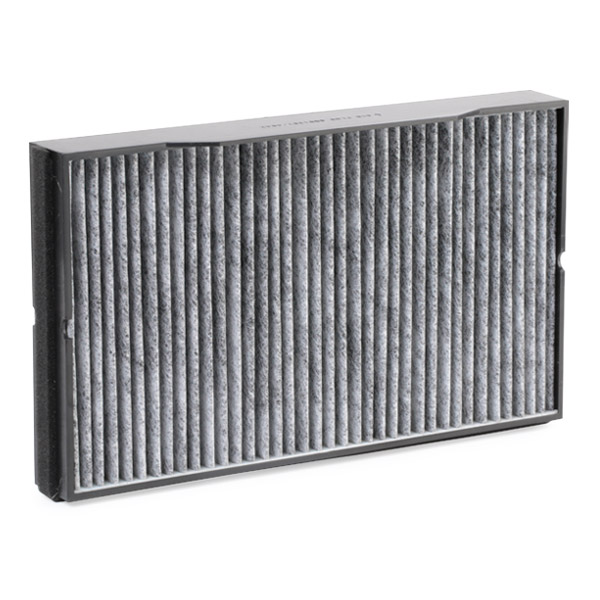 RIDEX 424I0189 Filter,...