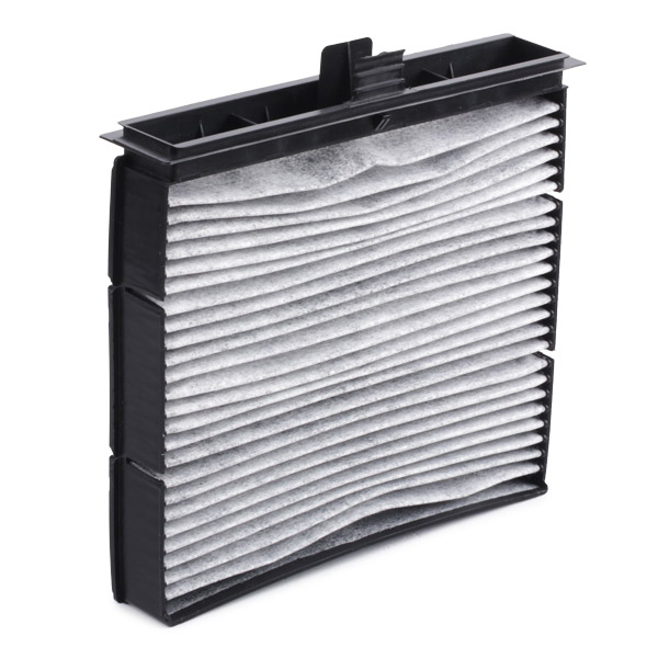 RIDEX 424I0171 Filter,...