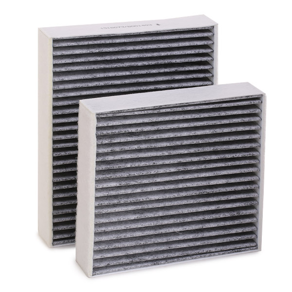 RIDEX 424I0197 Filter,...