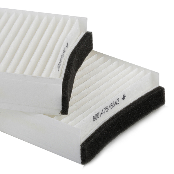 RIDEX 424I0038 Filter,...