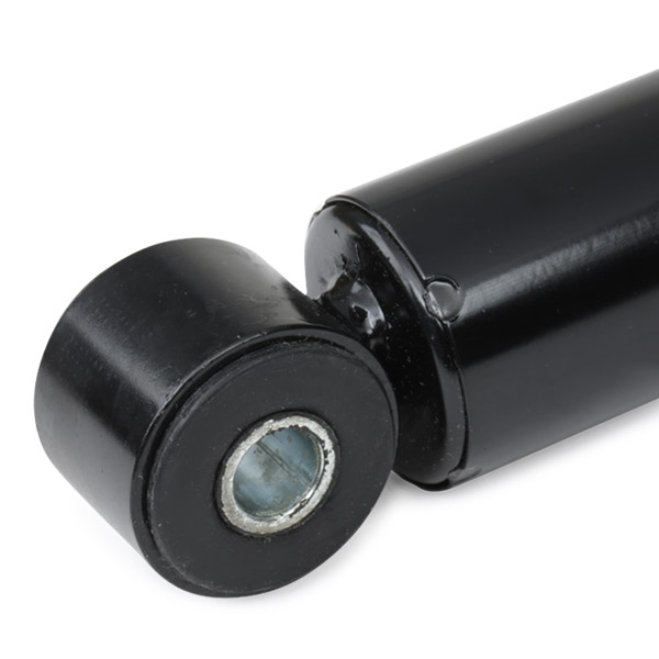 RIDEX 854S0049 Shock...