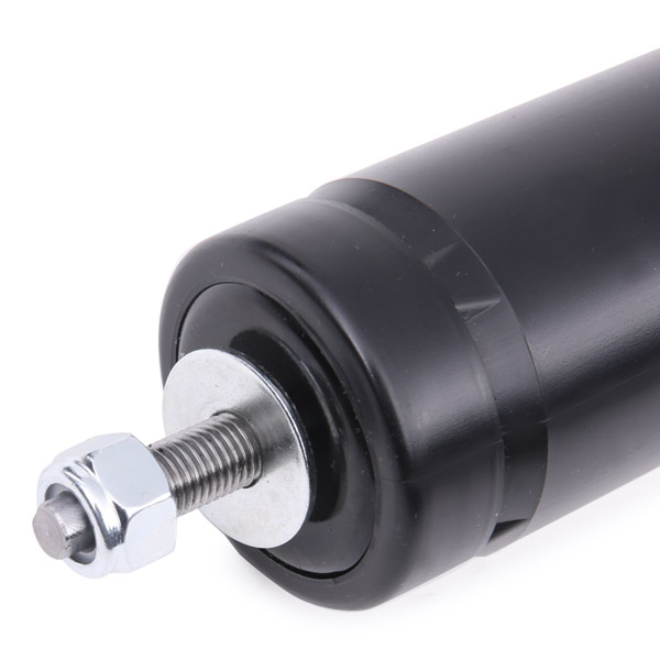 RIDEX 854S0042 Shock...