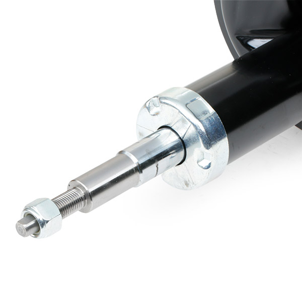 RIDEX 854S0017 amortizor