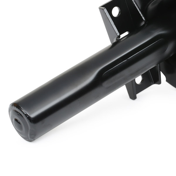 RIDEX 854S0019 amortizor