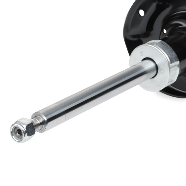 RIDEX 854S0006 amortizor