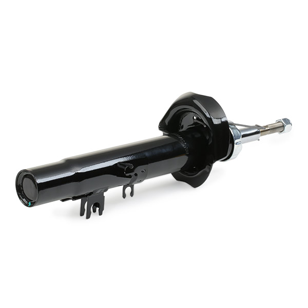 RIDEX 854S0424 Αμορτισέρ