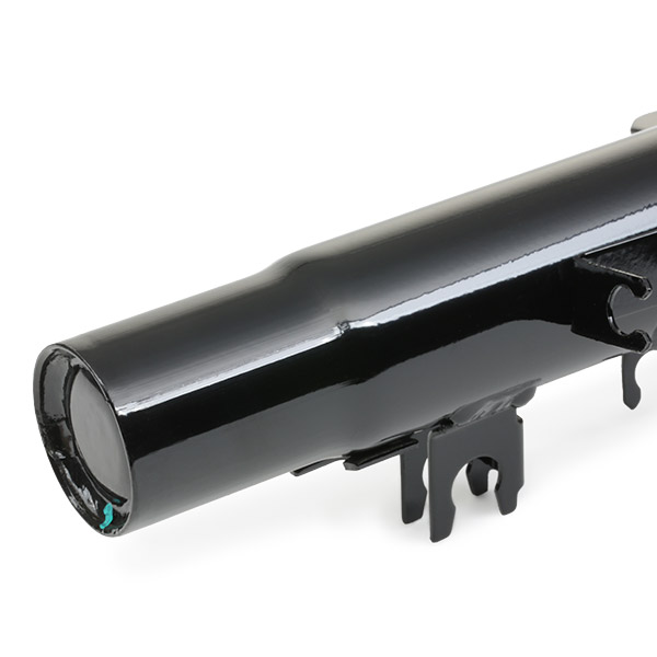 RIDEX 854S0424 Αμορτισέρ