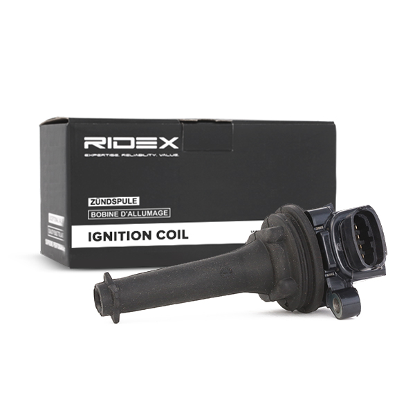 RIDEX 689C0004 Ignition...