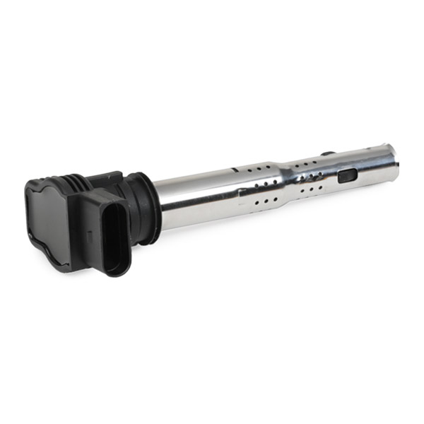 RIDEX 689C0019 Ignition...