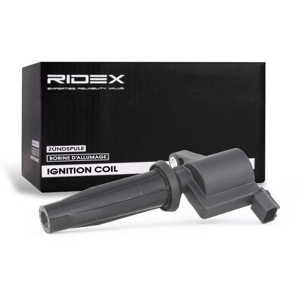 RIDEX 689C0034 Ignition...