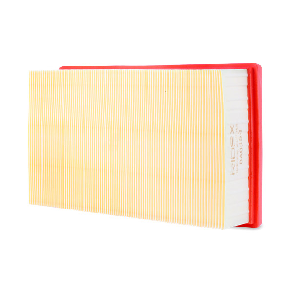 RIDEX 8A0353 Air Filter for...